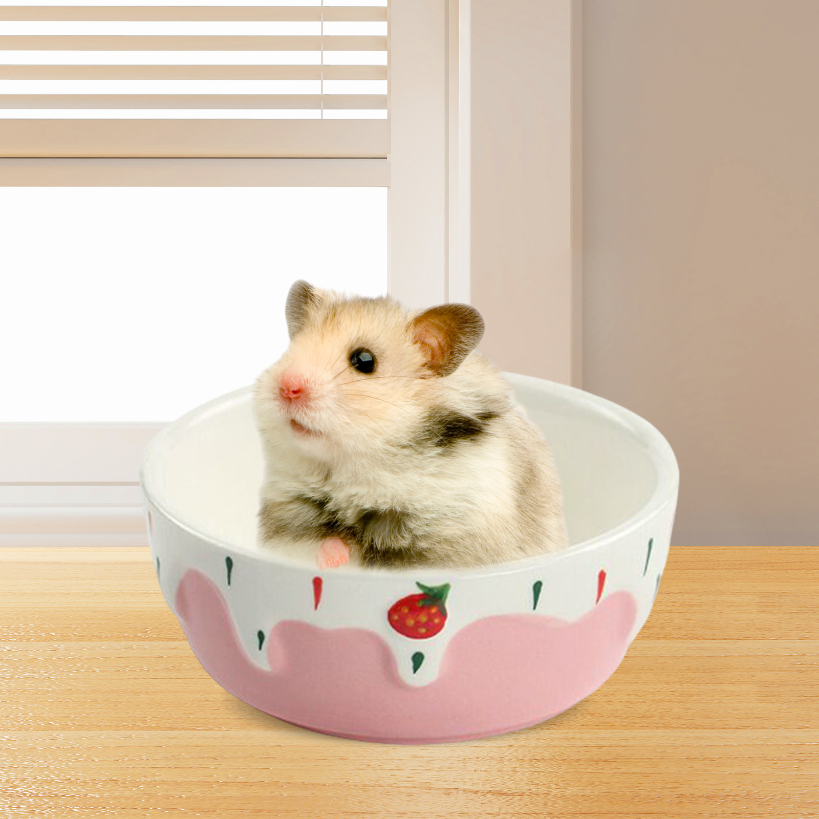 Hamster Food Bowl Easy to Clea - Baby Food Gerber incelemesi ve fiyatı