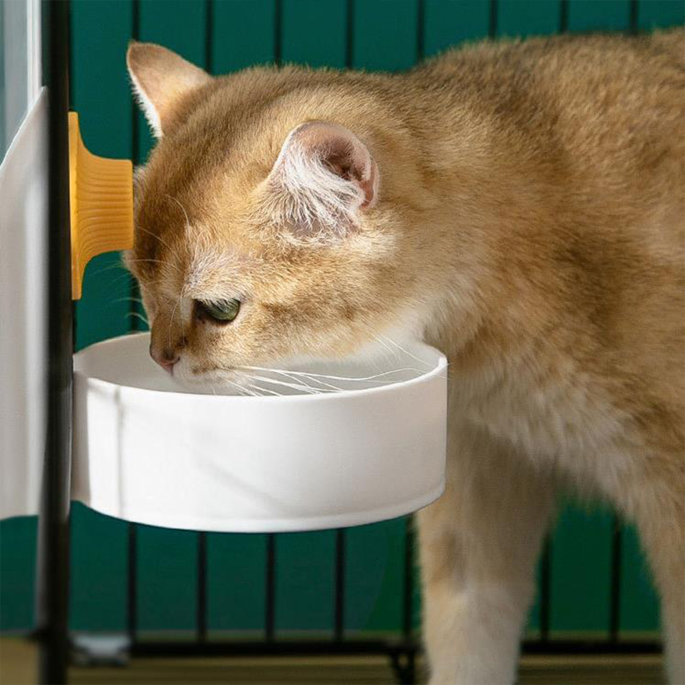 Large Capacity Cat Cage Hangin - Baby Food Cat incelemesi ve fiyatı