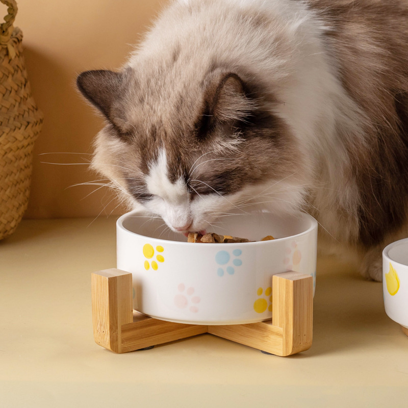 Ceramics Dog Bowl with Wood Ma - Baby Food Cat incelemesi ve fiyatı
