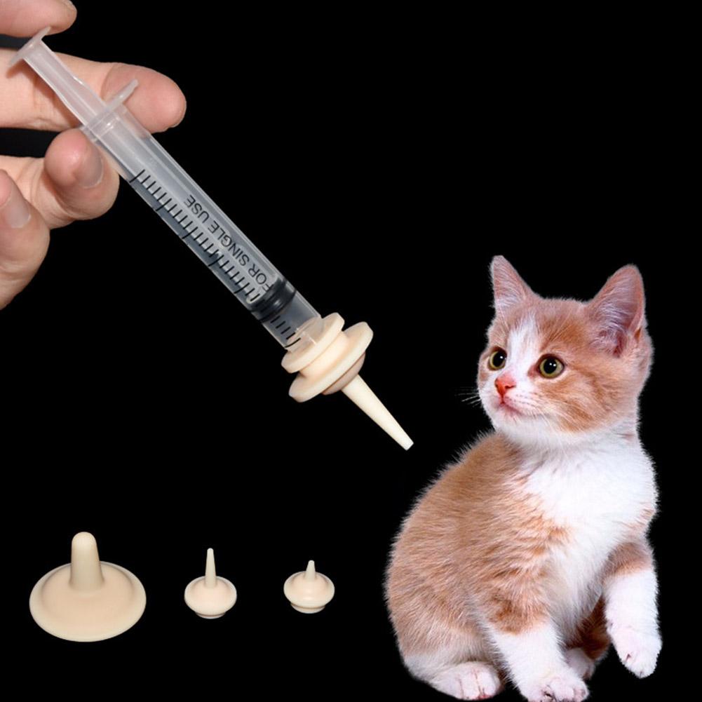 Food Grade Soft Silicone Dogs  - Baby Food Cat incelemesi ve fiyatı