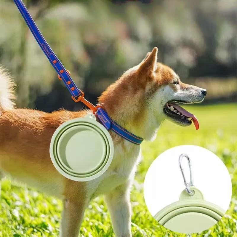 Foldable Pet Bowl, Portable Tr - Baby Food Cat incelemesi ve fiyatı